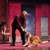 web-900-x-600-Mutts-Gone-Nuts-01.jpg