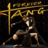 web-900-x-600-2026-27-Forever-Tango-showblock.jpg