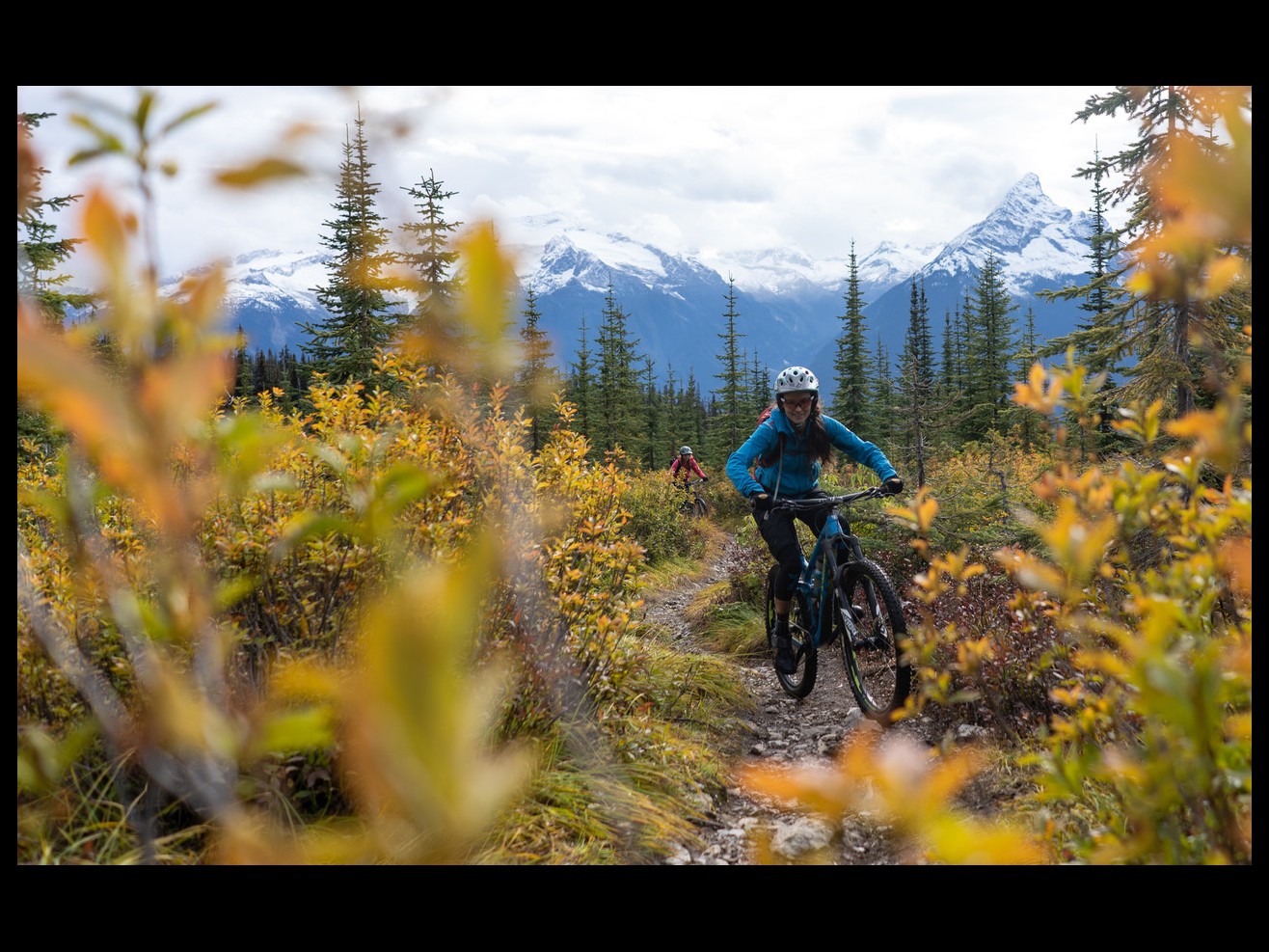 Team Elinor Brown RE/MAX Revelstoke Realty