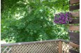 untitled-3224.jpg